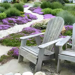 1000 pcs Creeping Thyme Seeds – Fragrant Ground Cover, Edible & Drought-Tolerant