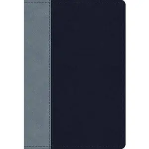 ESV Student Study Bible (Trutone, Navy/Slate, Timeless Design) by