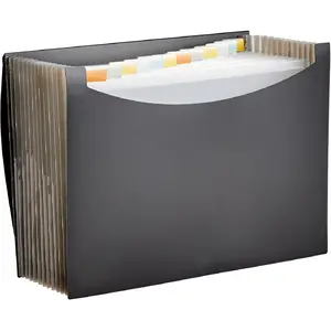 Basics Expanding Accordion File Organizer, Letter Size, 13 Compartments, Large Capacity Document Storage, Waterproof, Black, 1-Pack