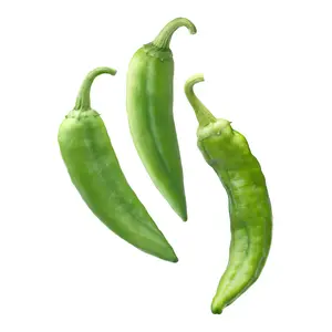 Pre-Order | Fresh Hatch Green Chile Peppers (Medium) – Big Jim & Charger