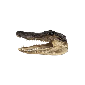 MED Gator Head - 3 Sizes - 7" - 10"
