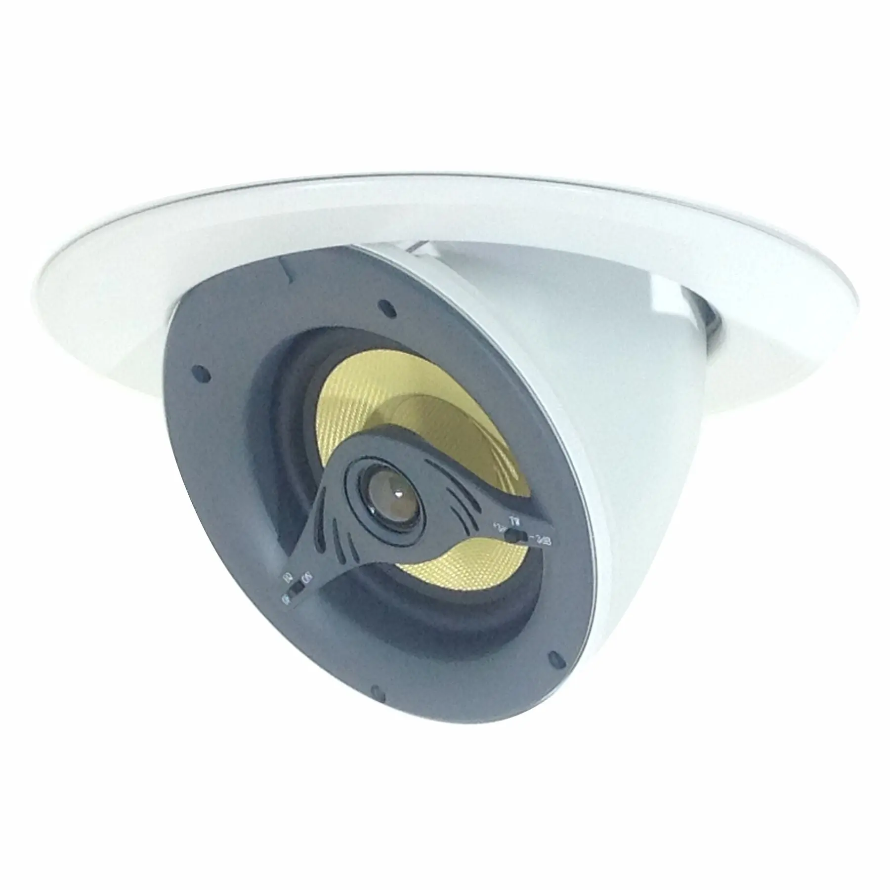 5.25 inch Round 2- Way Motorized Speakers