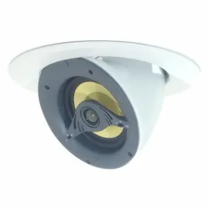 5.25 inch Round 2- Way Motorized Speakers