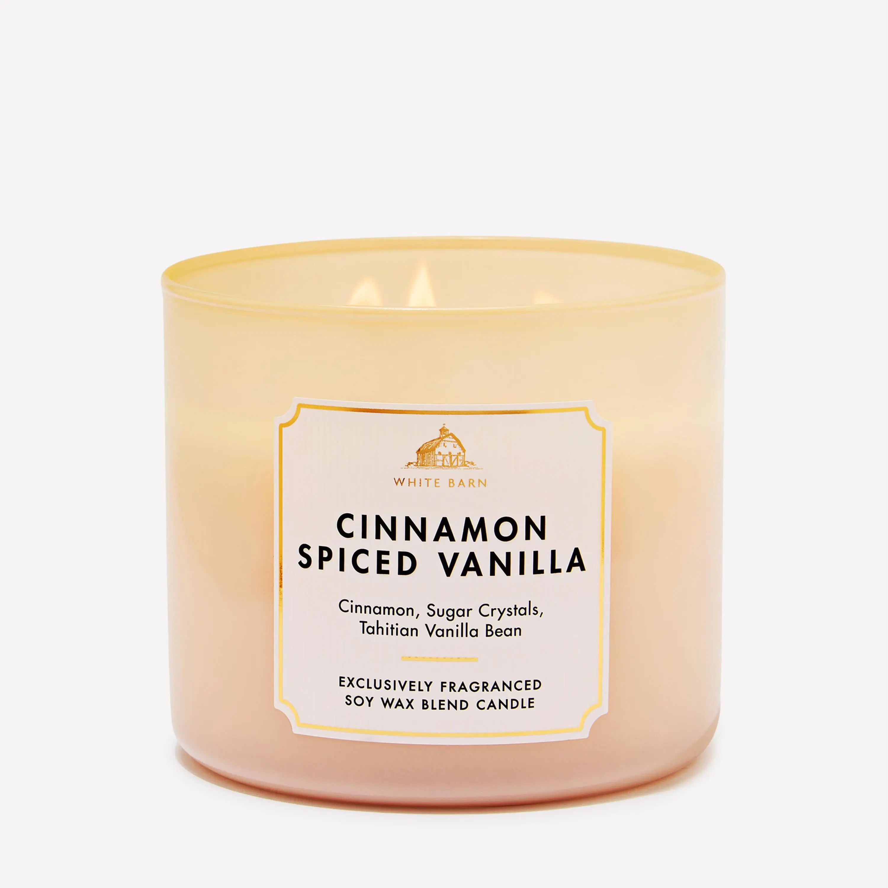 3-Wick Cinnamon Spiced Vanilla Fragrance Candle, Home Decor Accent