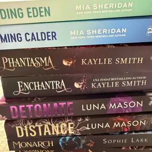 Blind date with a new book-Book Series