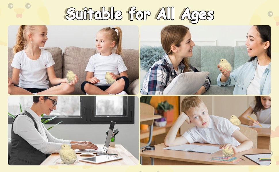 2025 New Gifts 2 Pack - Handmade Chick Squishy Toy Super Soft Squishy Silicone Squeeze Toy Stress Relief, Fidget Toy for Adults Kids Boys Girls Adult Toys TABA