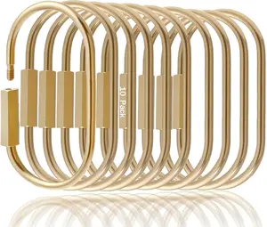 10 Pcs Brass Key Rings,Small Locking Carabiner Clip Keychain,Screw Lock Oval Keyring,Purse Bag Charms Holder for Handbag