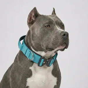 Premium Aqua Blue Tactical Dog Collar with Handle - Heavy Duty Anti Pull K9 Training Gear, Quick Release Metal Buckle for Large Dogs, Pitbull, American Bully - Vibrant Cyan Padded Collar