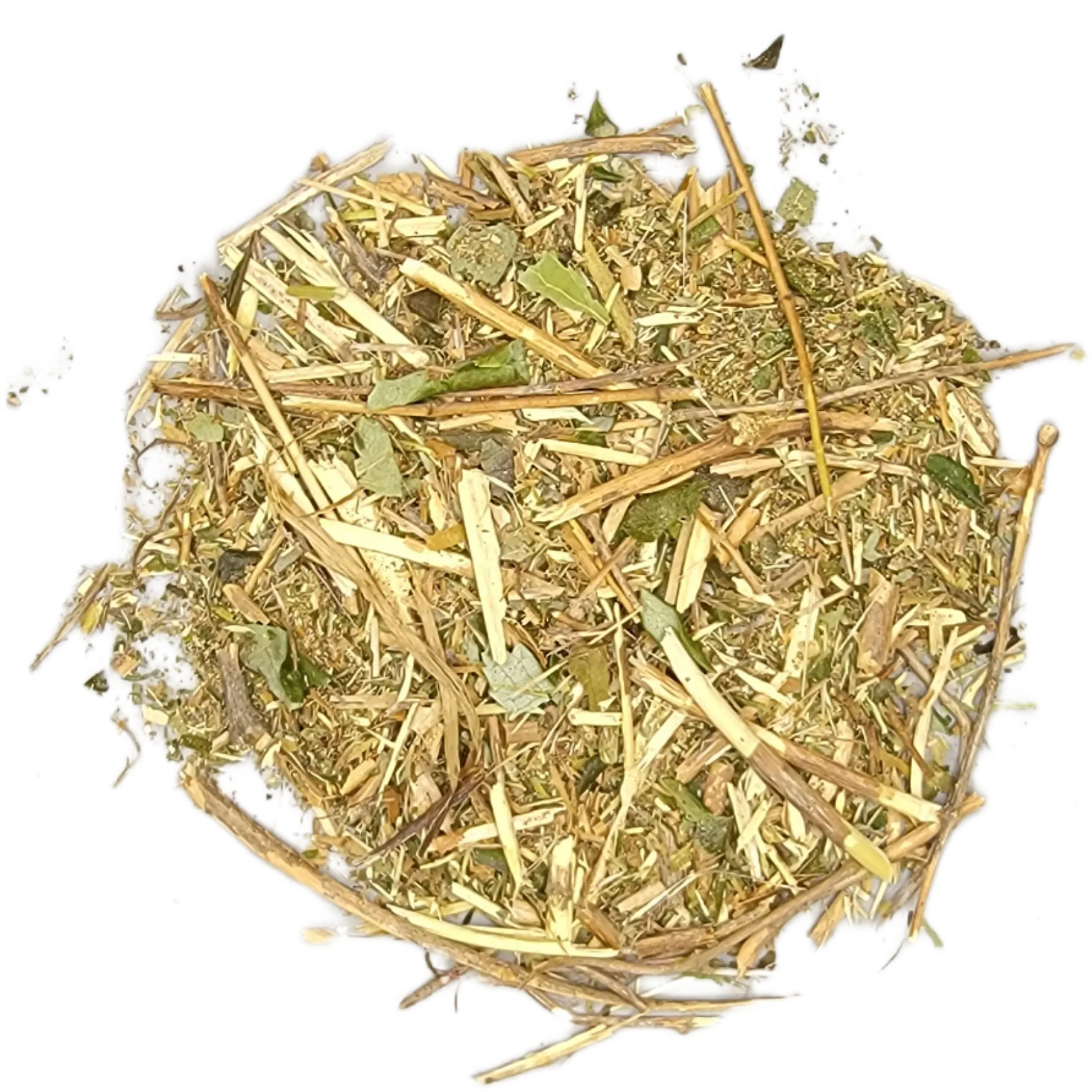 Moronel (Plant of Life) Herbal Tea - Traditional Medicinal Blend for Holistic Wellness & Vitality