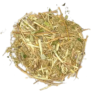 Moronel (Plant of Life) Herbal Tea - Traditional Medicinal Blend for Holistic Wellness & Vitality