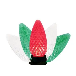 Celebrations 9086425 25 ft. Platinum LED C9 String Christmas Lights, Multi Color - 25 Count