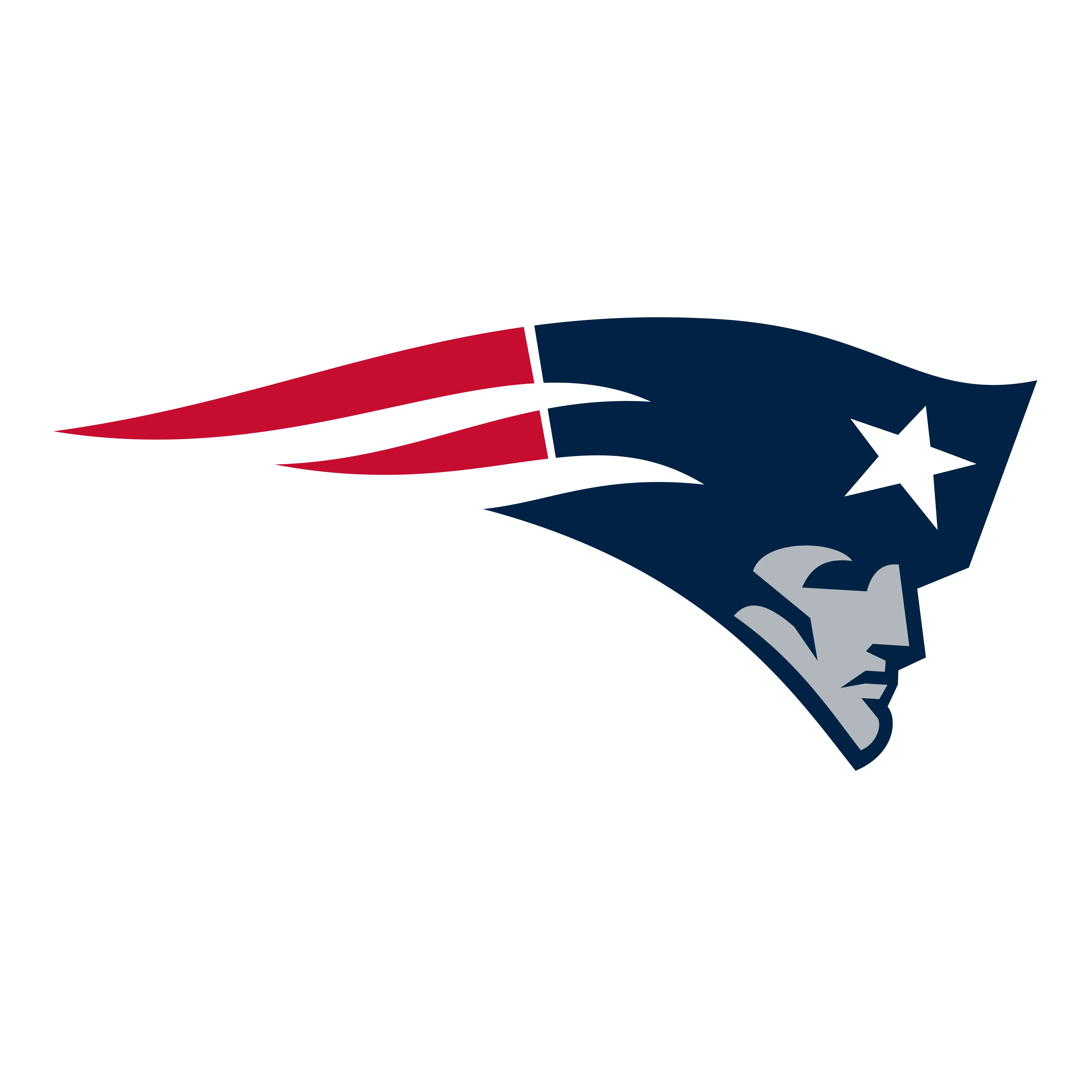PATRIOTS