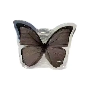 INS-style cute cartoon couple butterfly MagSafe airbag phone stand, retractable and rotatable, anti-drop desktop holder