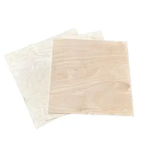 DIY 3 Pack 18 Inch Wide 1/4" Thick Birch Plywood Squares for Craft Projects