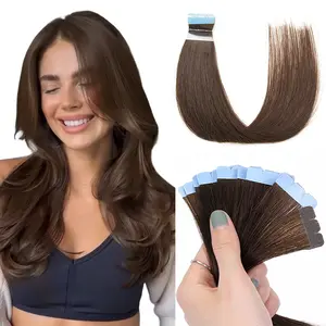 Invisible Mini Tape In Human Hair Extensions 12"-24"Inches Machine Remy Hair Natural Brown Tape Ons  Easy to Wear At Home for Women 10pcs/pack