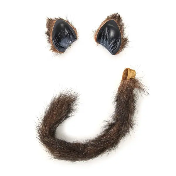 Cat Ears & Tail Kit