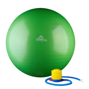 212 MAIN 55cm Green Stability Ball with Pump, Dense Walls, Static Strength Exercise Gear for Core Workout & Stability Training (Balance Training Equipment)