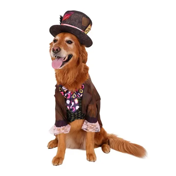Live Action Disney Mad Hatter Pet Costume (© Disney)