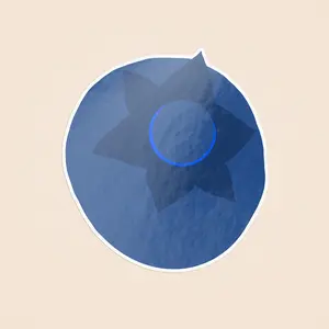 Blueberry Illustrated Sticker