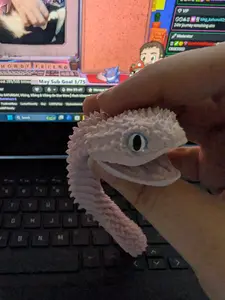 3D Printed Snake With Glass Eyes