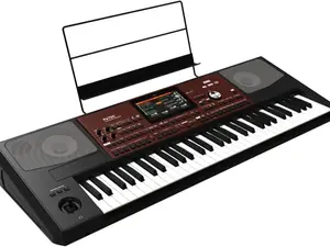 Korg Pa700 61-Key Arranger Workstation Electronic Keyboard
