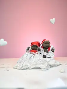 Ibeyis Jimaguas de Shango Niña y Niño / Ibeyis Jimaguas of Shango Girl & Boy