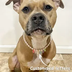 Customizable Pet Necklace with Personalized Name Tag - Durable ABS Dog & Cat Collar, Available in Various Colors & Styles, Perfect Gift for Pets, Pet Accessories |   Customizable Pet Collar |   Durable Pet Collar