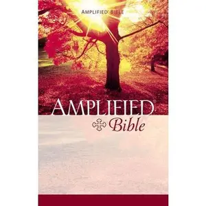 USED-Amplified Bible by Zondervan (Paperback)