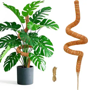 60 Inch Moss Pole Monstera Plant Support, Coir Moss Poles for Climbing Indoor Plants, Bendable Plant Stake Trellis for Potted Plant, Pothos, Philodendron