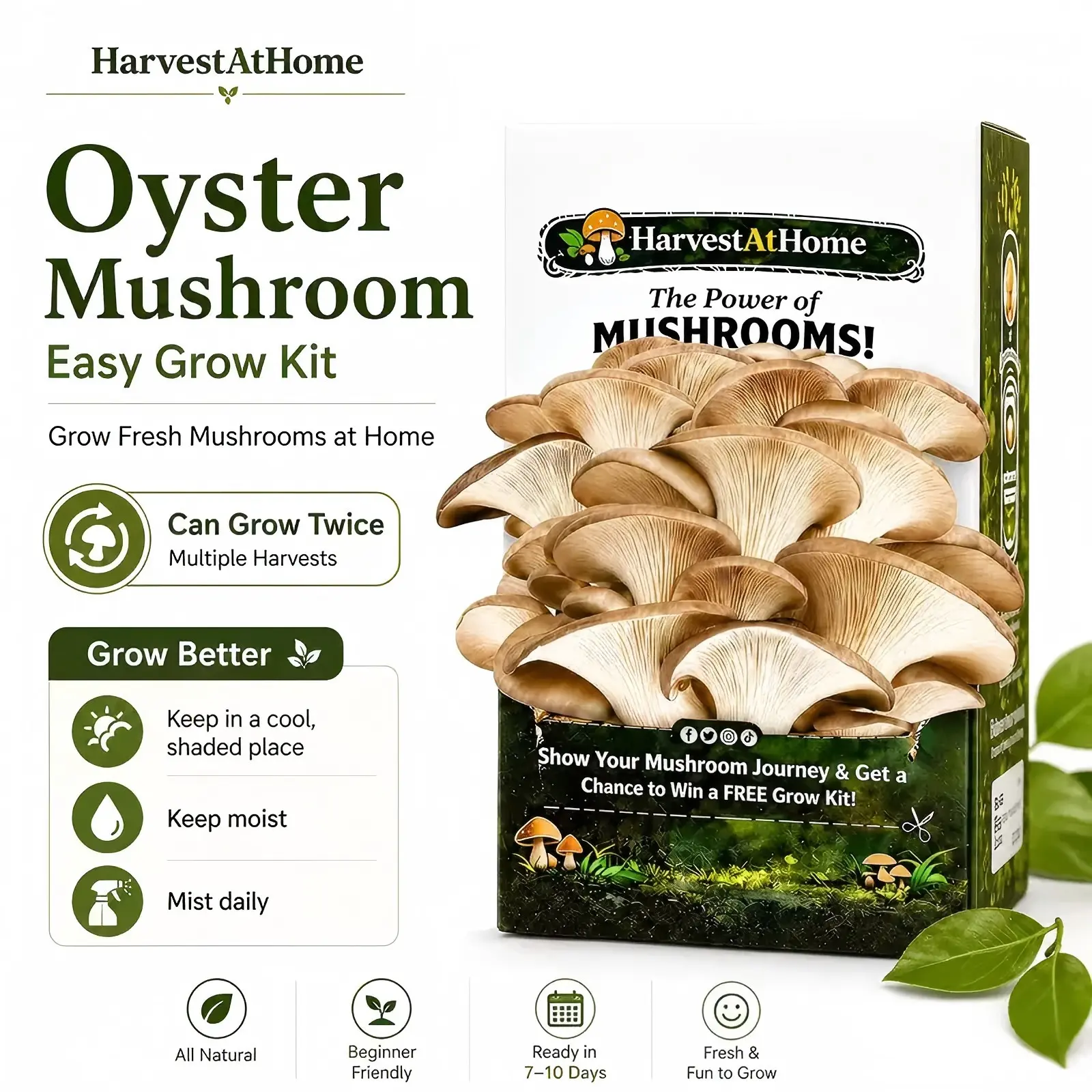 Oyster