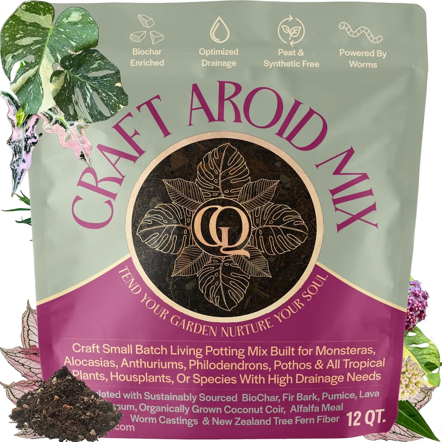 Craft Aroid Potting Mix- Elite Alocasia, Philodendron, Monstera Soil Mix,  Chunky, Well Draining Potting Soil for Indoor Plants, All Tropical Plants &  Houseplants, Peat Free - TikTok Shop