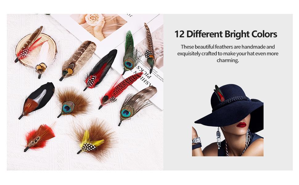 12Pcs Hat Feathers, Assorted Natural Feathers for Hats Colorful Real Feathers Pin for DIY Craft, Men Women Cowboy Hats, Fedora, Party Hats,Oktoberfest (12 Style)