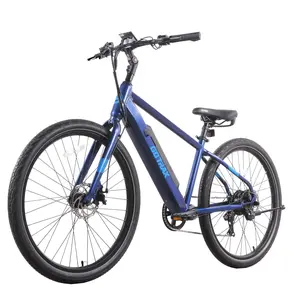 Gotrax CTI Commuter Electric Bike