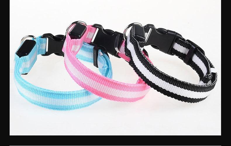 Collar (Glow) - Dog Collar Nylon LED Night Safety Flashing Glow In The Dark Pet Dog Leash pet Dogs Luminous Fluorescent  dog accessories collar night safety Rechargeable reflective cat