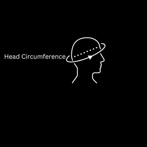 Prince of Wales Linen Newsboy Hat