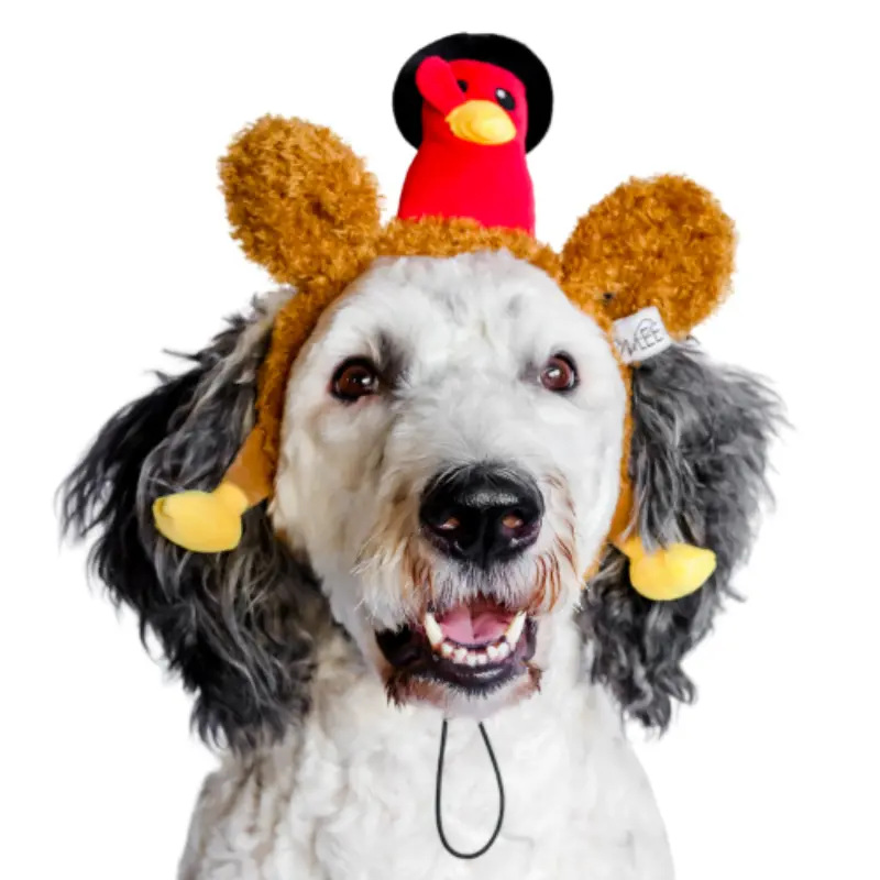 Midlee Polyester Turkey Thanksgiving Dog Headband - Adjustable Strap, 4"-8" Diameter, Festive Photo Prop with Hilarious Look for Medium-Large Dogs, Pet Accessory