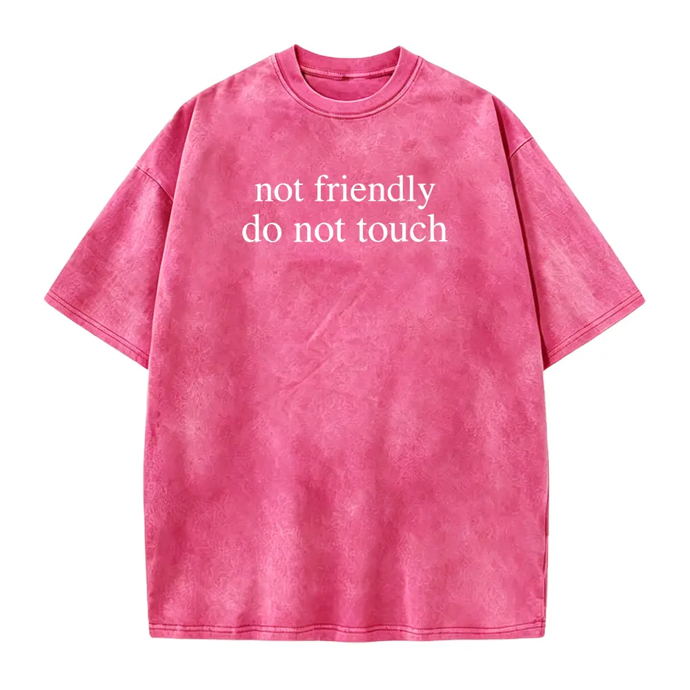 Sarcastic Shirt, Not Friendly Do Not Touch Shirt, Funny Humor T Shirt, Adult Humor Shirts, Sarcasm Tee, Funny Trendy T-Shirt