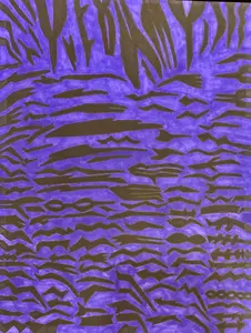Zebra Striped