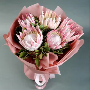 100+ Protea Flower Seeds for Planting, Heirloom Big Flowers Ornamental Plants for Indoor and Outdoor Decor（King Flower Seed）