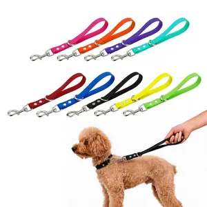 poodle shot leash