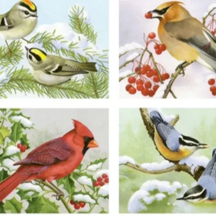 16 songbirds in snow