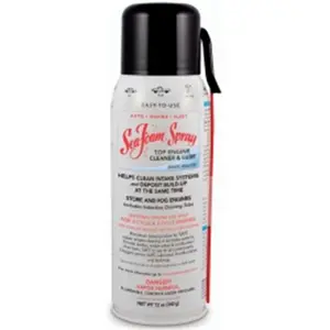 Sea Foam SS14 14 oz Spray Cleaner & Lube