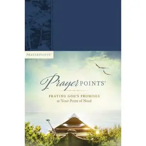 USED Book - Prayer Points - Praying God's Promises at Your Point of Need (Unknown) - english