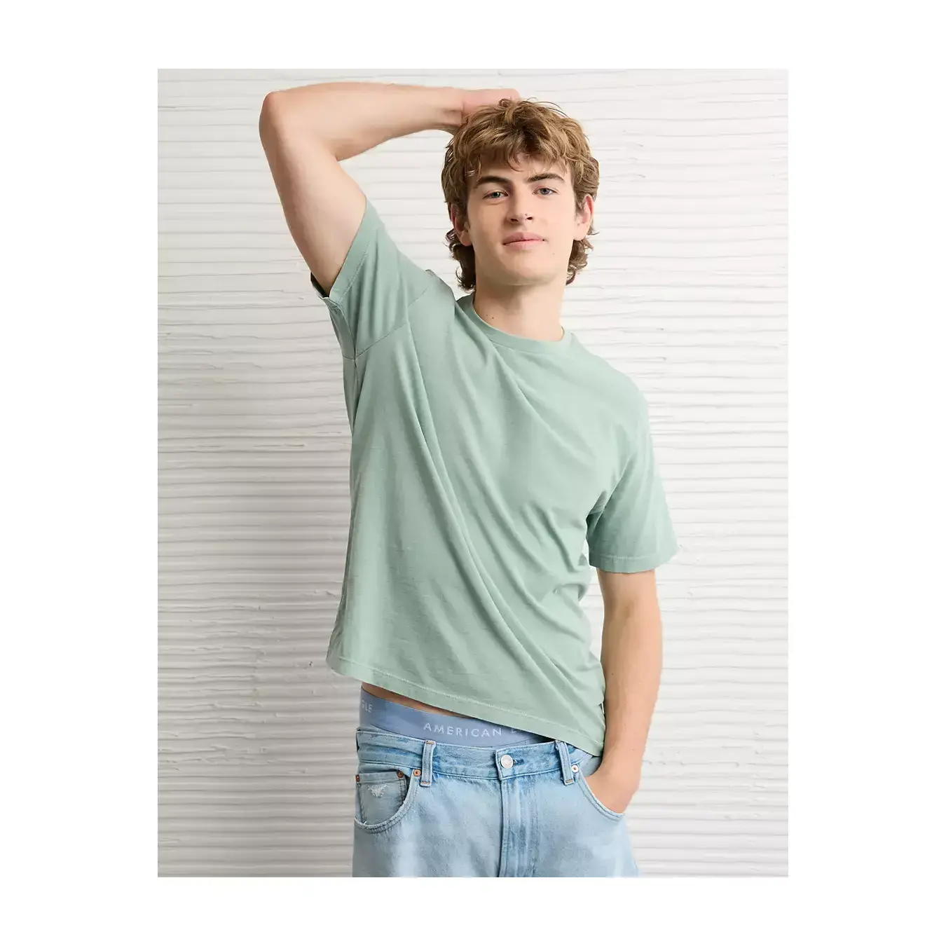 AE Standard Fit Lived-In T-Shirt
