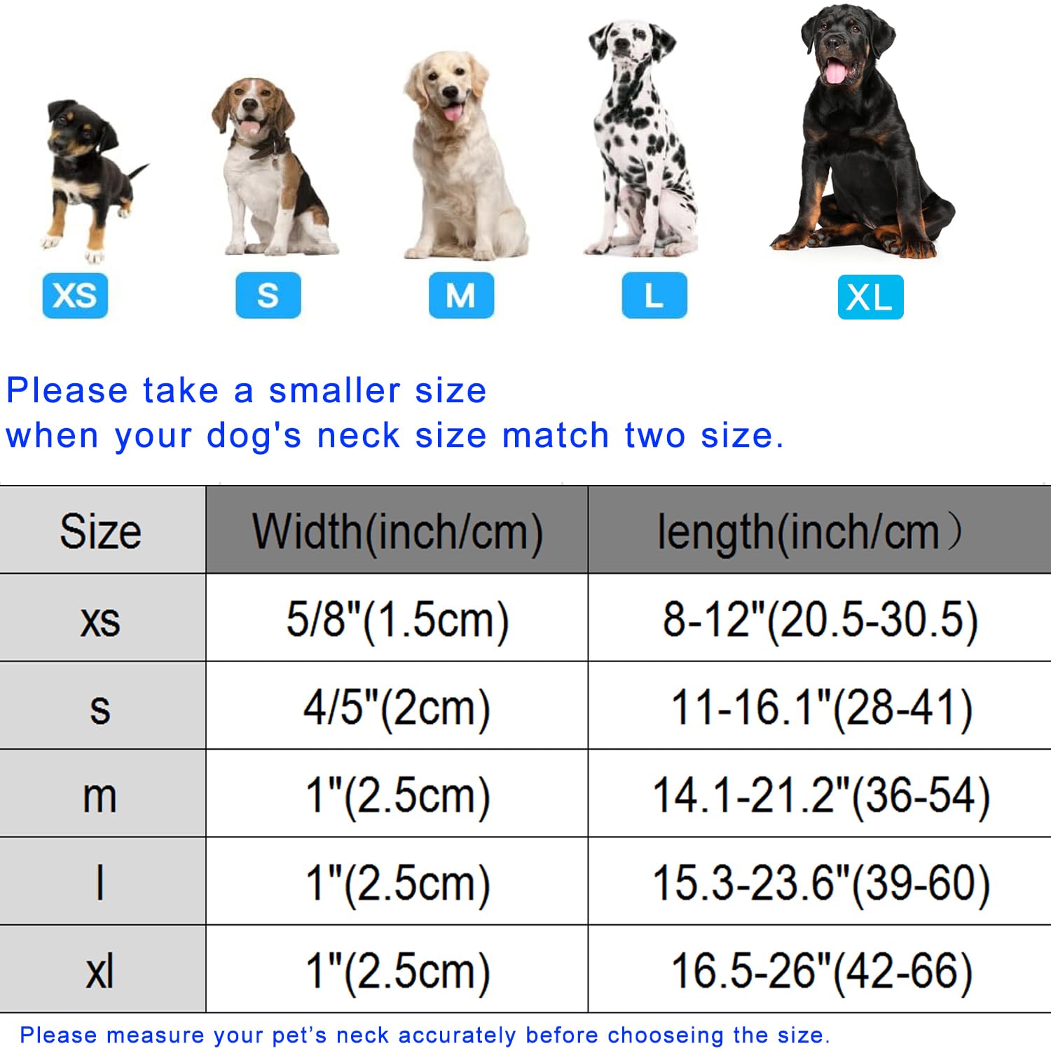Lionet Paws Summer Dog Collar — Blue Bow Adjustable Collar with Bowtie Pendant & Plastic Buckle for Small to Large Dogs