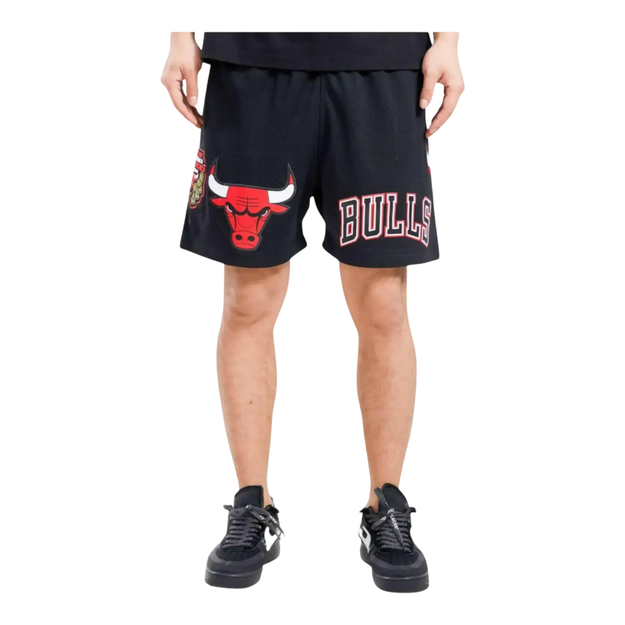 Pro Standard NBA Chicago Bulls Logo Mesh Shorts in Black | Men's