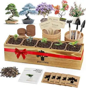 Bonsai Tree Kit for Beginners - 5 Unique Japanese Bonsai Seeds, DIY Indoor Gardening Crafts for Adults | Valentine'S, Mother'S Day & Birthday Gifts for Women and Men | Complete Starter Kit with Tools PLANTMEW