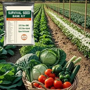30,000 Non-GMO Heirloom Vegetable Seeds – 30 Variety Pack Ideal for All Seasons, Beginners, and Backyard Growers