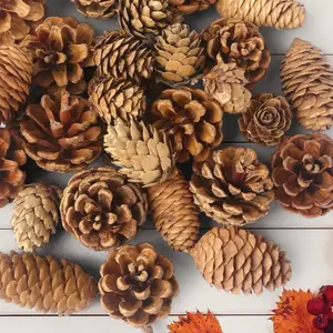 40PCS Natural Pine Cones Bulk, Pinecones Decorations Pine Cone Ornaments for Crafts Thanksgiving Christmas Wreath Table Bowl Decor, Winter Vase Filler