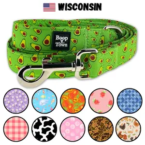 Limited Edition Dog Leashes Leads 5 Feet Long Small, Medium, Large Boy Girl Dogs